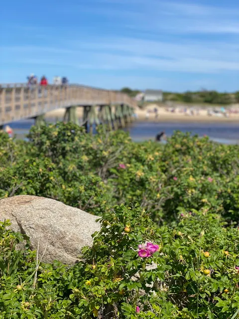 Bourne's Ocean Acres Ogunquit