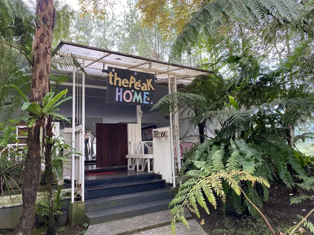 The Peak Home