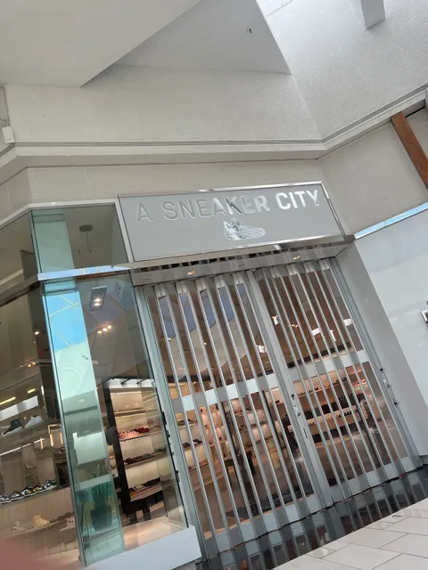 A Sneaker City