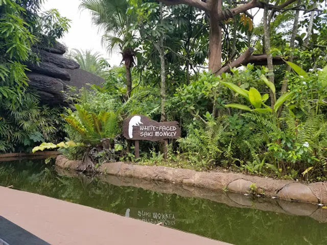 Amazon River Quest