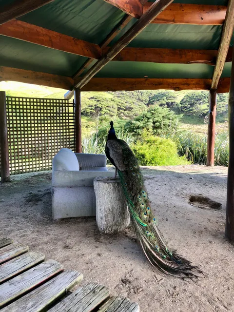 Wharariki Holiday Park Ltd