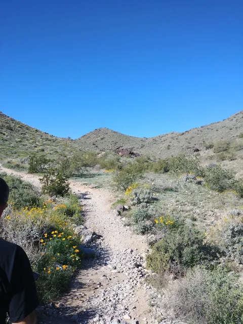 Javelina Canyon Trailhead
