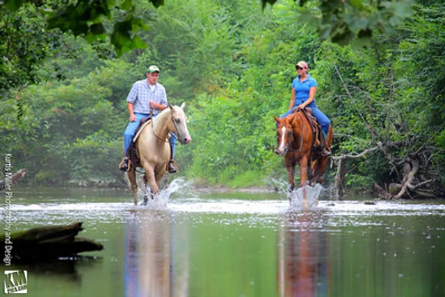 Dillard House Stables