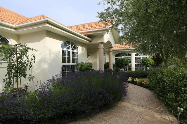 Olive House Bed And Breakfast