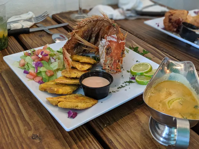 The Fish Ocean Grill