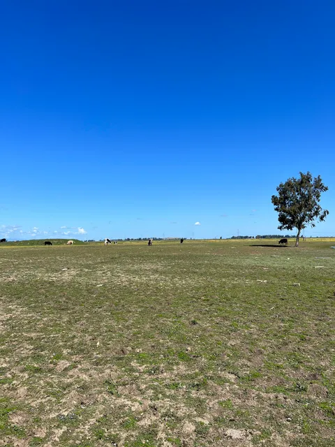 PreetiRang Sanctuary