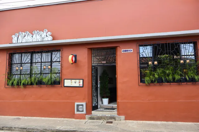 Primos | Restaurante San Antonio | Restaurante Cali