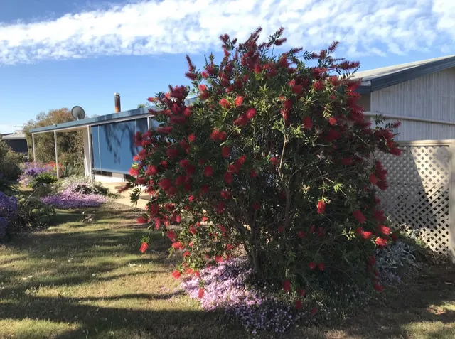 Fareview Beach House