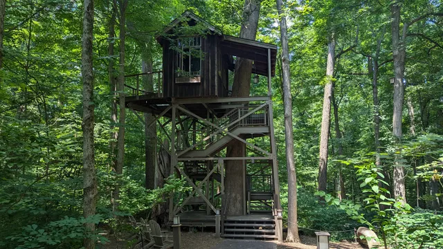 Birdhouse Treehouse