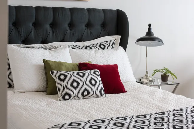 Set The Stage Colorado