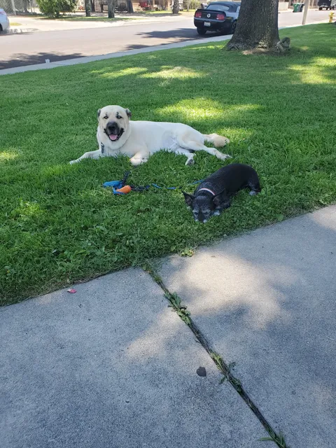 Community Building 10th Street Park
