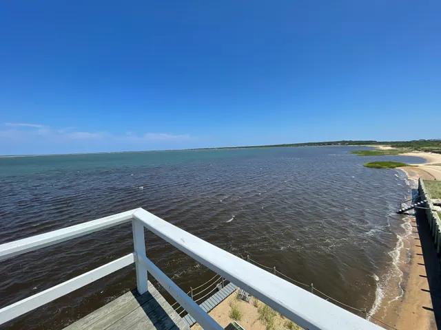 Victor D'Amico Institute of Art