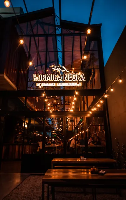 Hormiga Negra Caseros