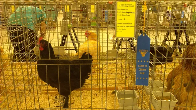 Santa Fe County Fair Board