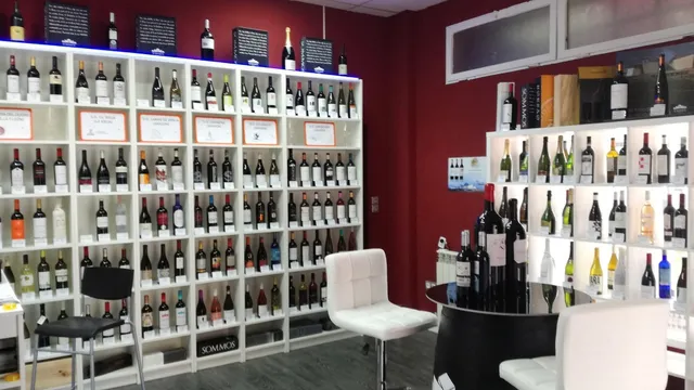 Telvin Selección SL