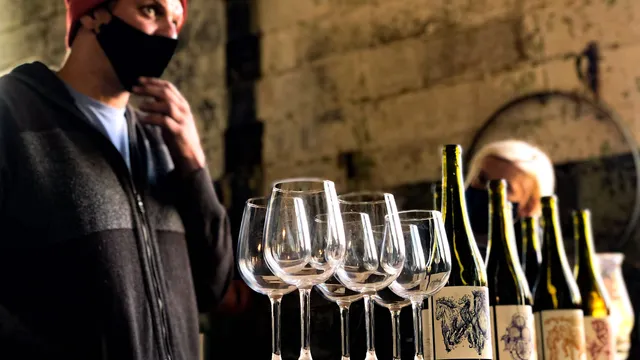 Lightwell Survey Wines