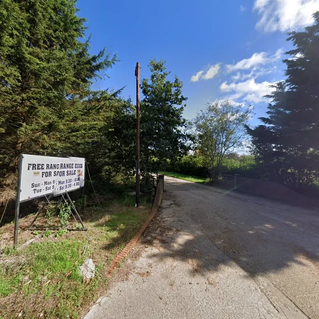 NATURE FARM - freerange eggs