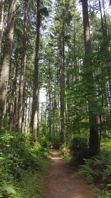 Cemetery Trailhead - Island Center Forest