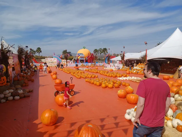 San Clemente Pumpkin Patch by Taghavi Farms