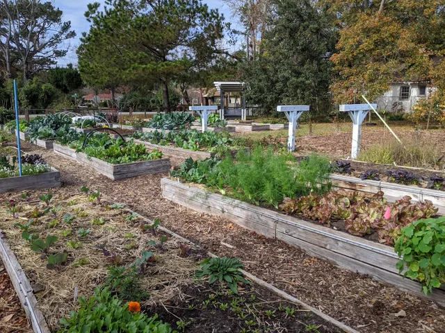 Magnolia Park and Community Garden