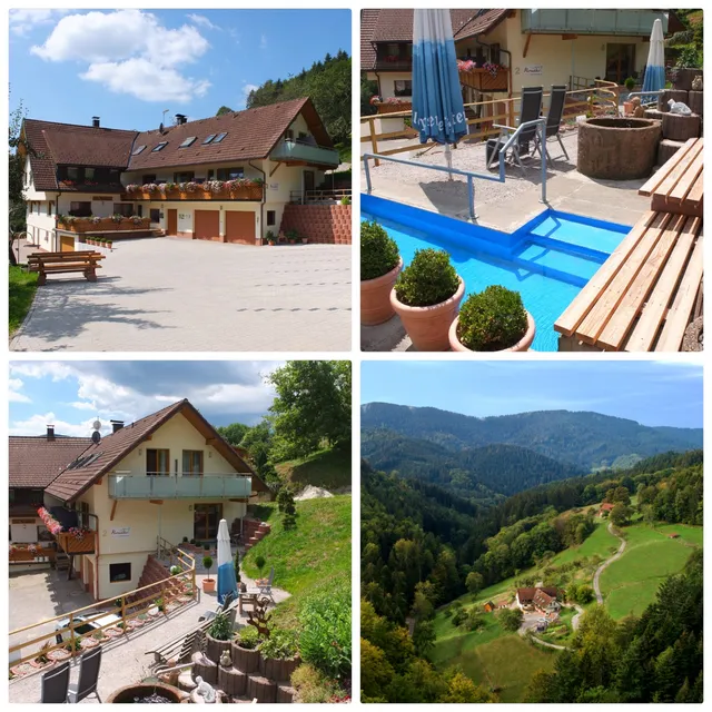 Paradise in the Black Forest