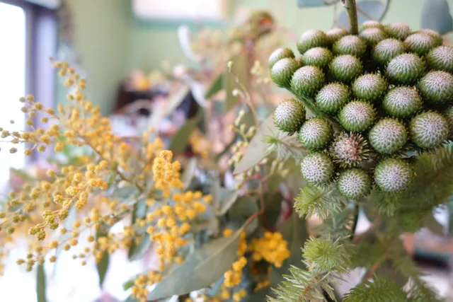 漢方とハーブのお店 なつめや