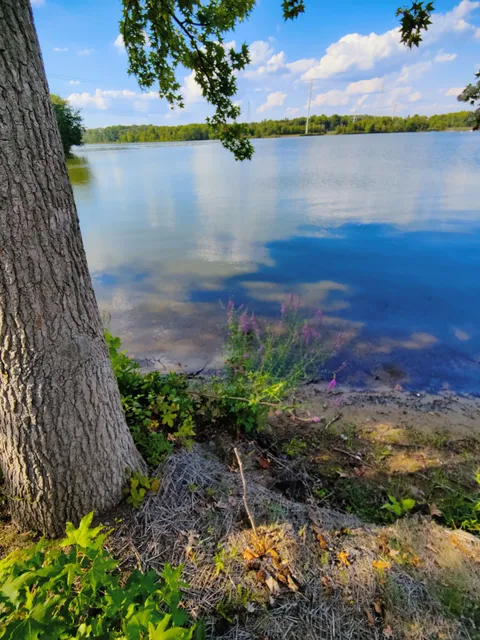 Mercer County Park Marina & Boathouse