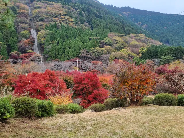 鶴見岳自然公園「四季の里」