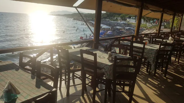 Bloom Lounge Beach Bar