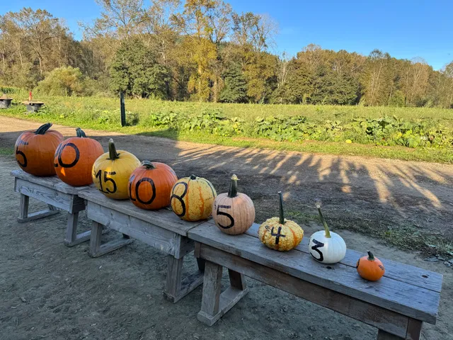Bob's Corn & Pumpkin Farm