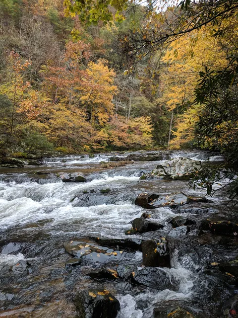 Pisgah National Forest, Rocky Bluff recreation area