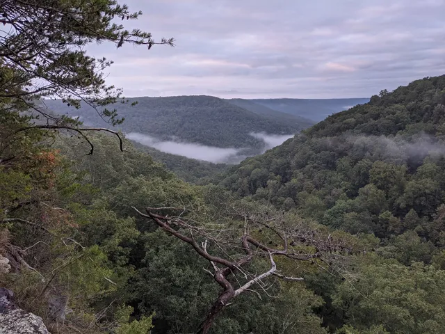 Small Wilds Campground