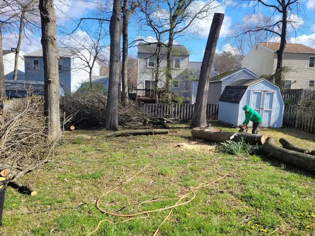 A&J Tree Services LLC