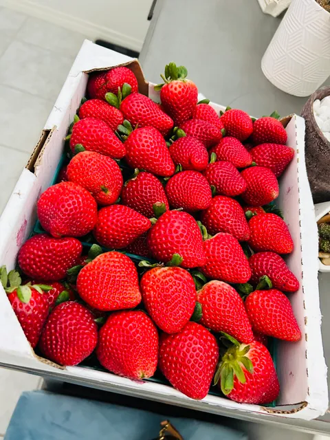 恩恩农场 NN RANCH