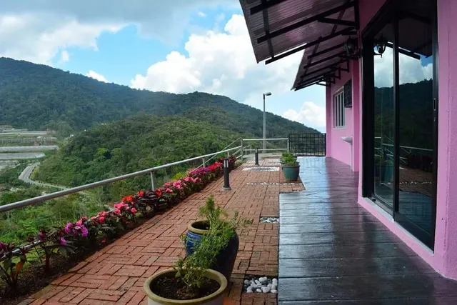 Cameron Lovely House