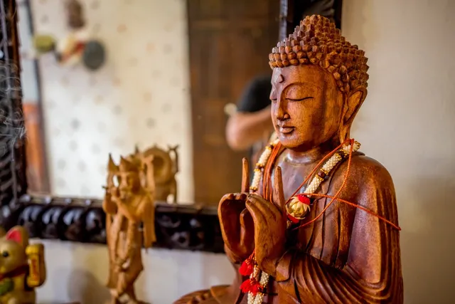 Majikal B&B - Casa de los Xolos