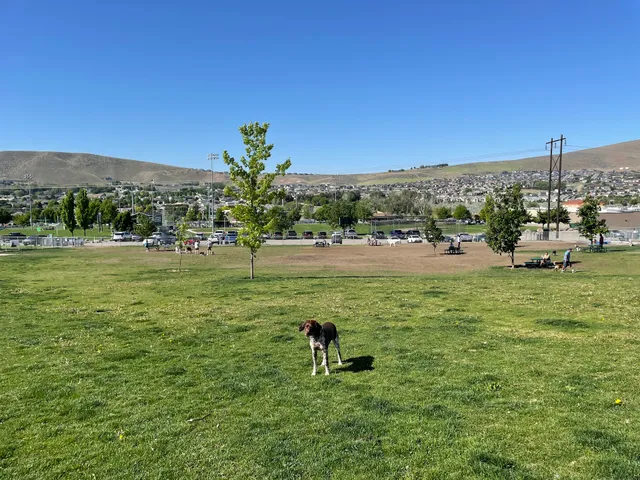 Paws-abilities Place