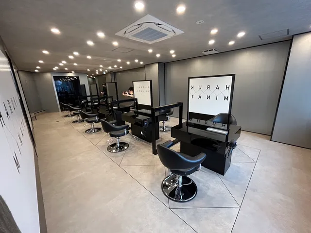 HARUKI MINATO japan OSAKA