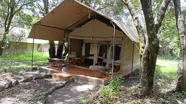 Enchoro Wildlife Camp Masai Mara