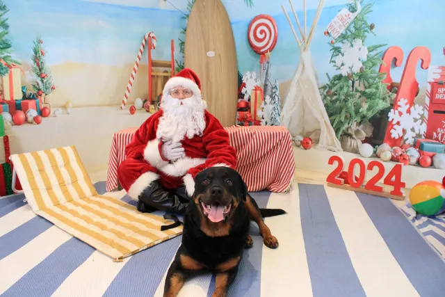 Santa Pics Photos Sydney