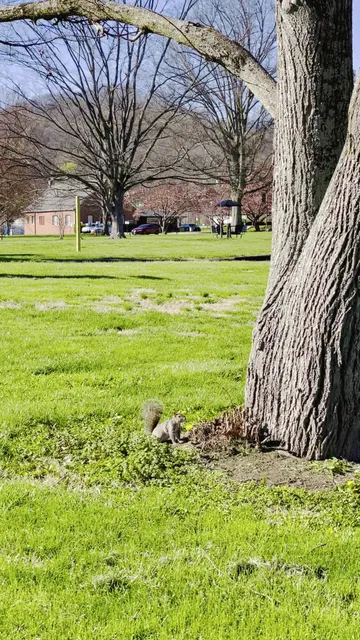 West Virginia State University