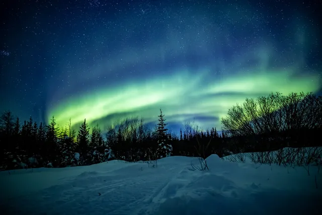 Discover Churchill Photo Gallery