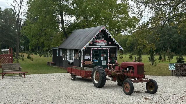 7P TREES - Pieton's - Christmas Tree Farm