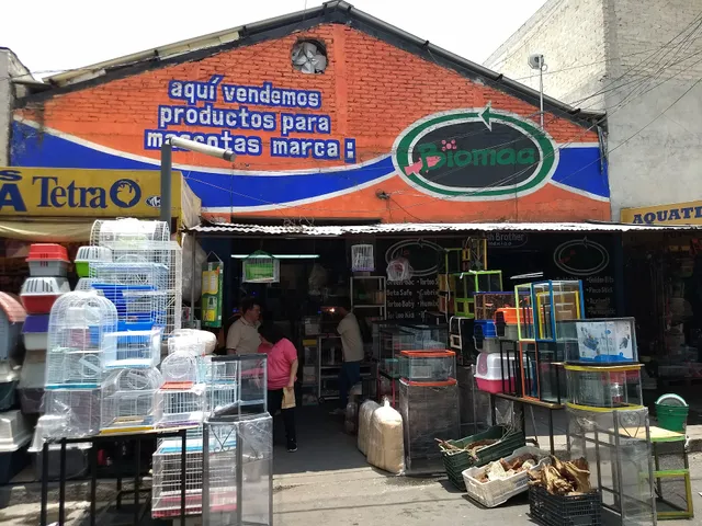 Market Emilio Carranza