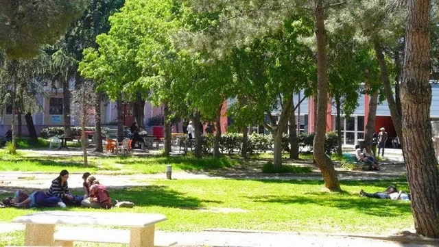 University of Perpignan - Domitian