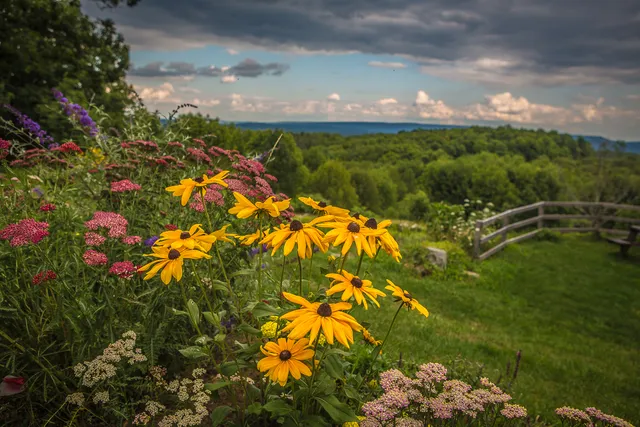 Sivananda Yoga Ashram