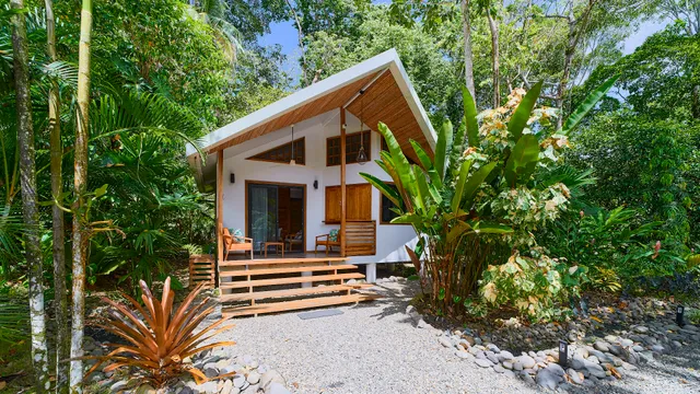 Dragonfly Beach Retreat