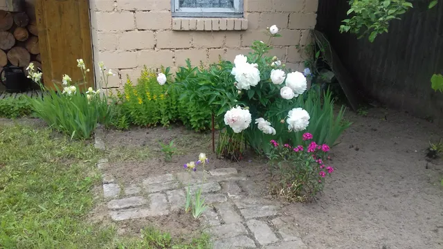 Guest house on Sokolovo