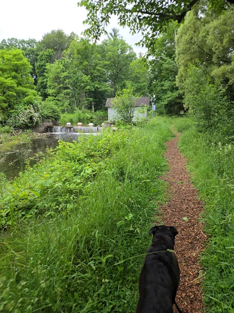 Cazenovia Preservation Foundation Willow Patch Trail