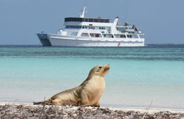 Eco Abrolhos Cruises